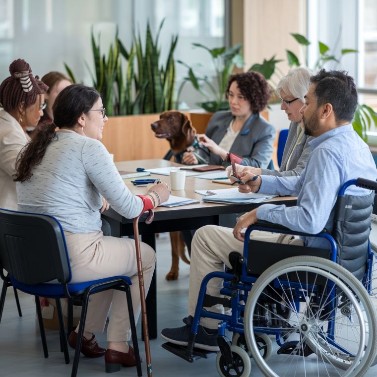 Members of a disability advisory committee working together to improve accessibility.